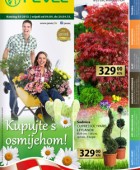 Pevec katalog travanj