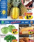 Lidl katalog do 22.5.
