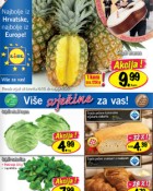 Lidl katalog do 22.5.