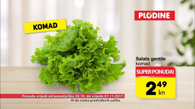 Plodine akcija salata
