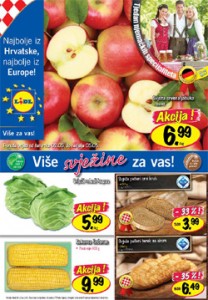 Lidl katalog
