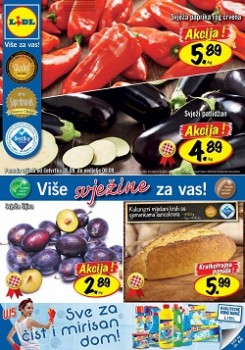 Lidl katalog