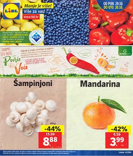 Lidl katalog tržnica