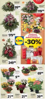 Lidl akcija lampioni aranžmani