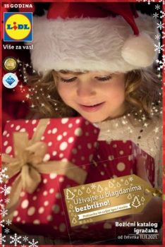 Lidl katalog Igračke
