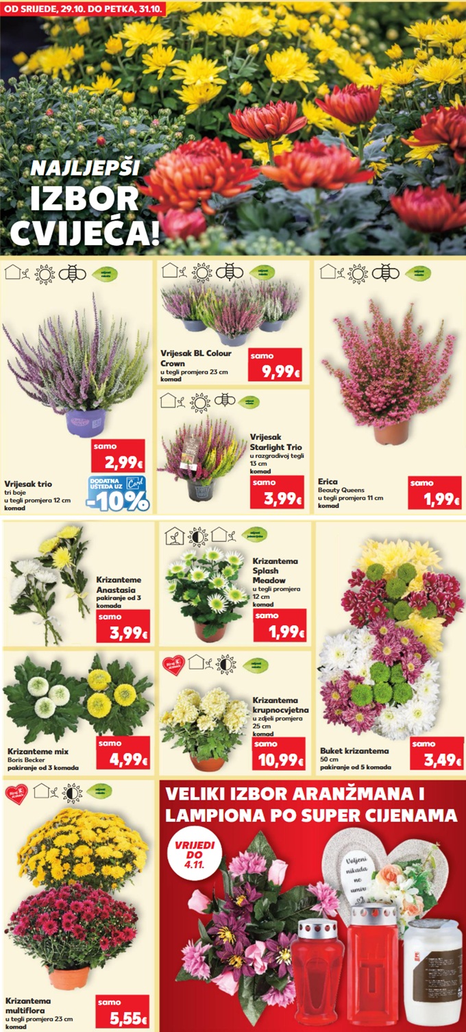 Kaufland Svi sveti cvijece