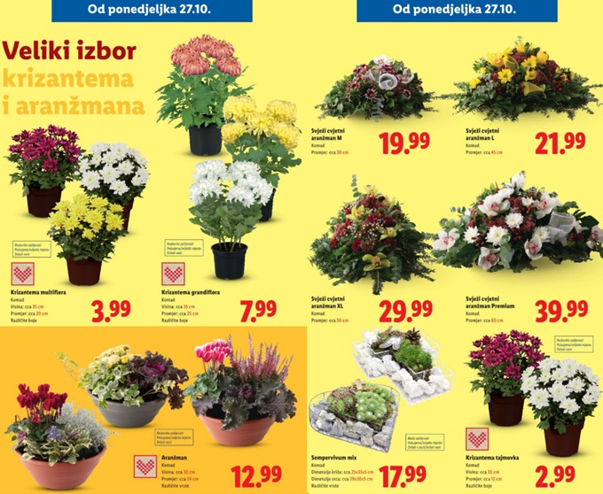 Lidl Svi sveti aranzmani