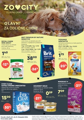 Zoo City katalog listopad